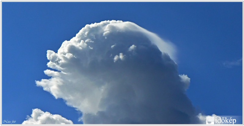 Cumulus pileus