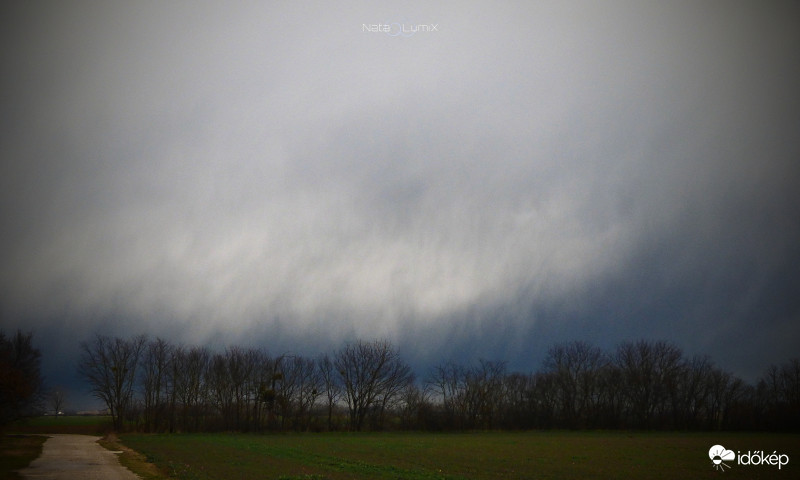 Hódarazáporos délután