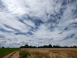 Mihályi