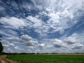 Mihályi
