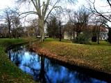 Park februárban