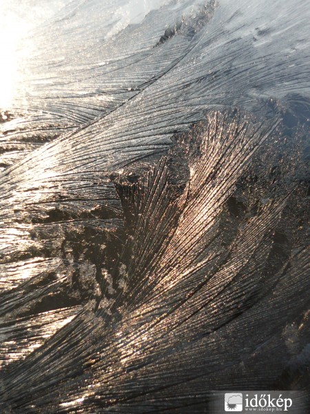 Tél virágos kiskertemben...