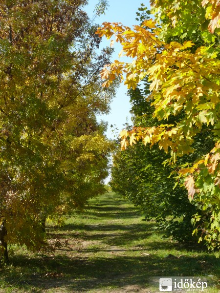 Őszi sétány