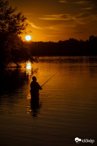 Kifogom az Aranyhalat!