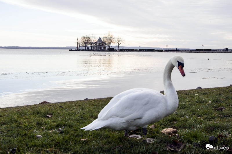 szilveszteri találkozás