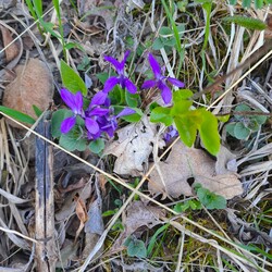 Ősz és tavasz találkozása