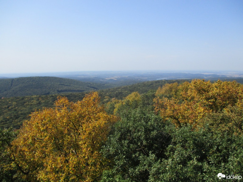 Pécs-Somogy