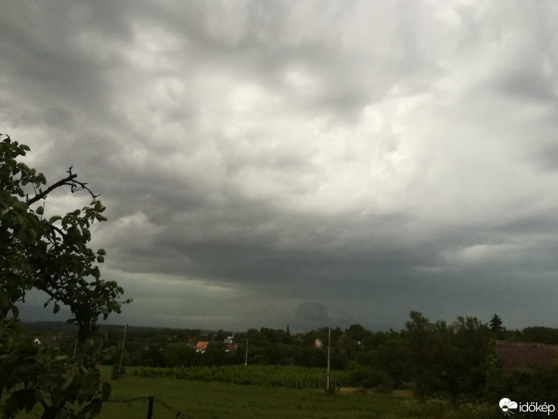 Pécs-Somogy
