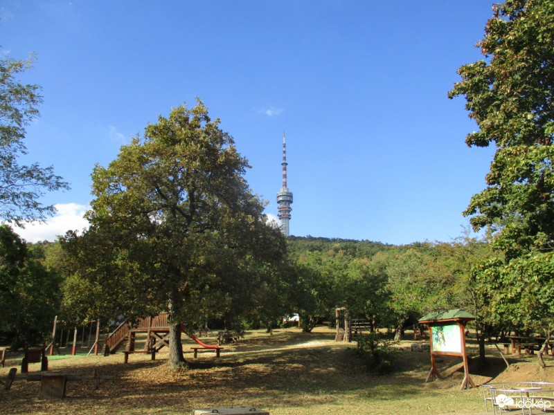 Pécs-Somogy