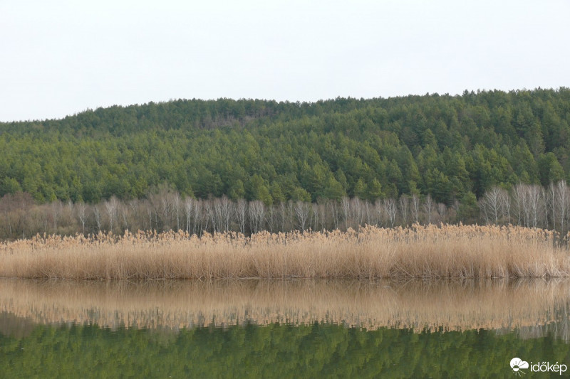 Magyarsarlós