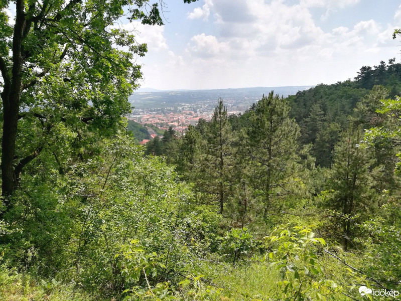 Pécs-Somogy