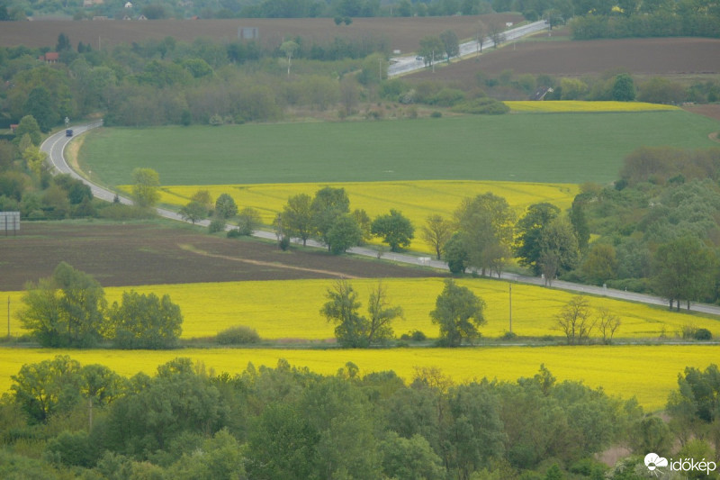 Pécs-Somogy