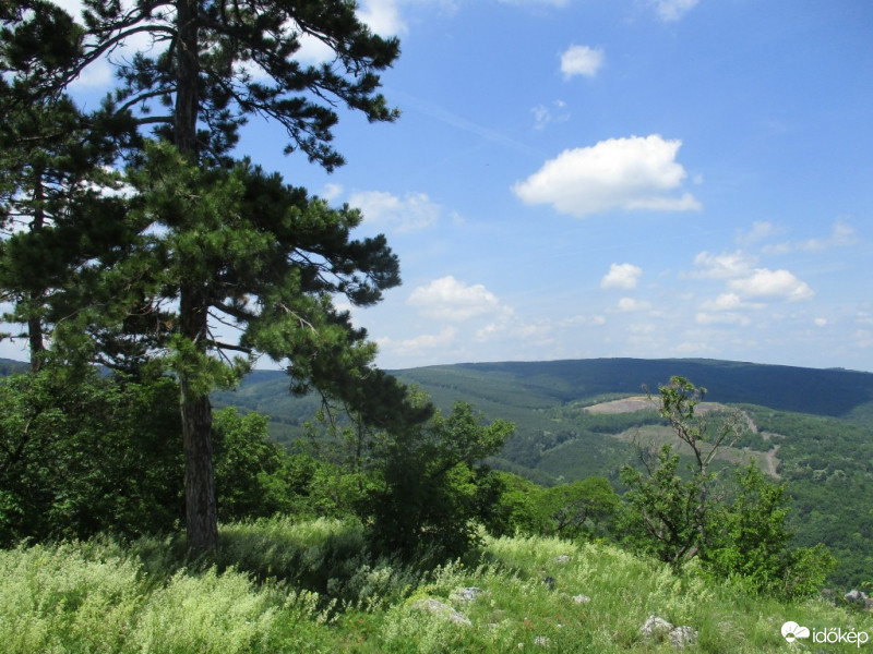 Pécs-Somogy