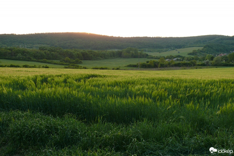 Pécs-Somogy