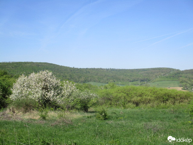 Pécs