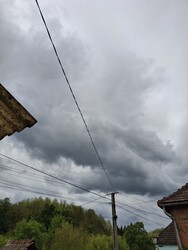 Dióskál