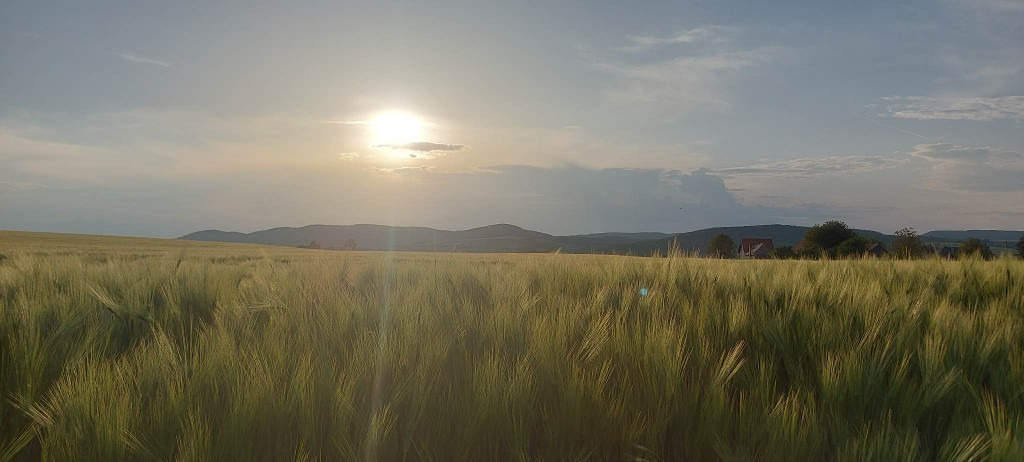 Veľká Ves nad Ipľom