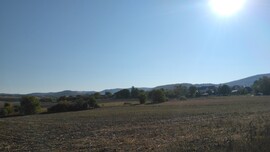 Romhány
