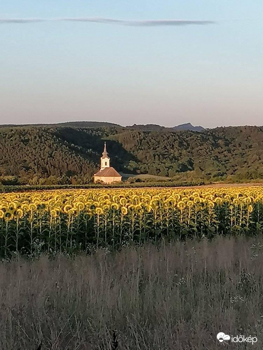 Romhány