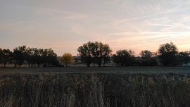 Romhány