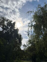 Balatonlelle