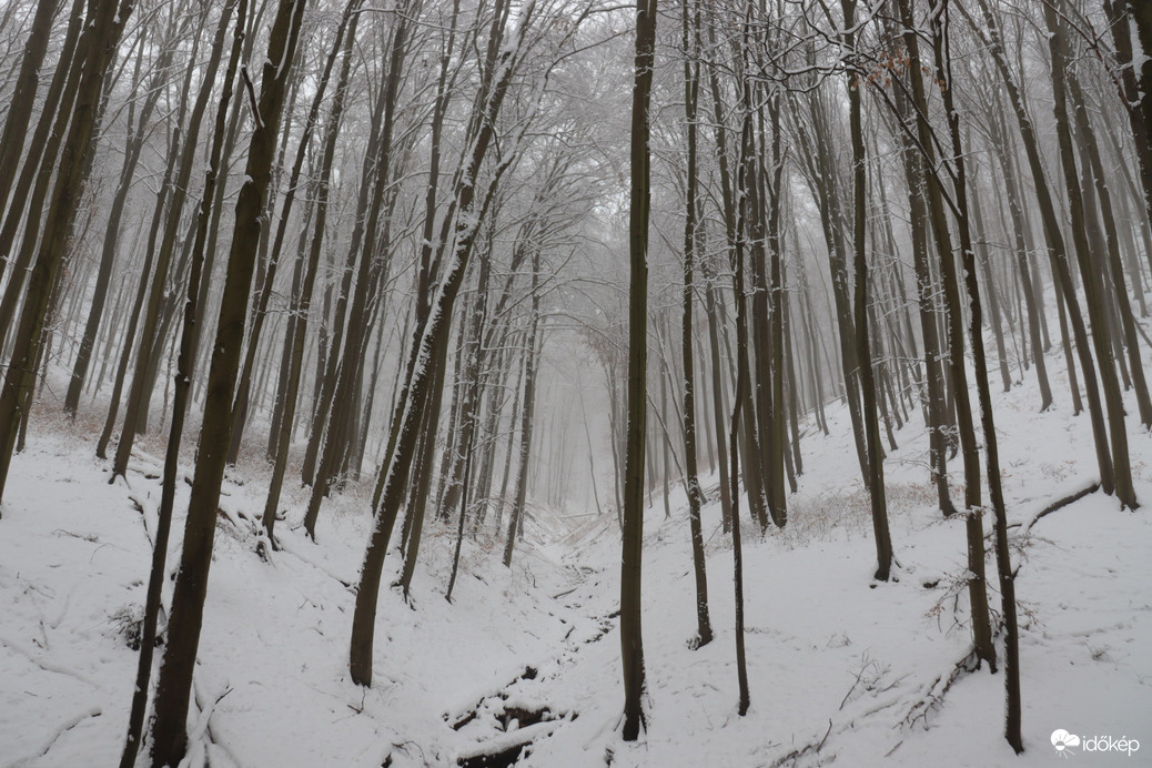 15-20cm hóban túra a Mecsekben