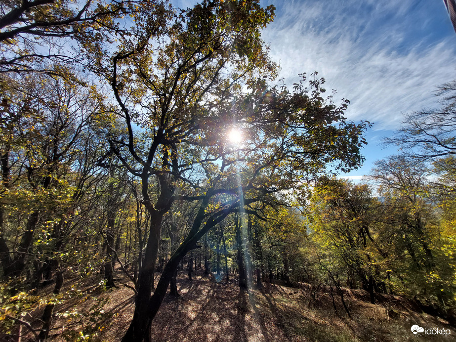 Ősz a Mecsekben