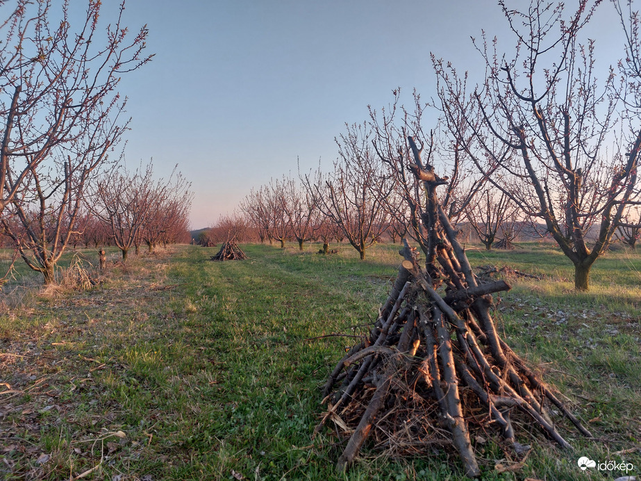 Előkészülés a fagyra! 