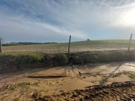 aron32 fotója