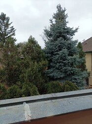 Budapest XIV.ker - Alsórákos