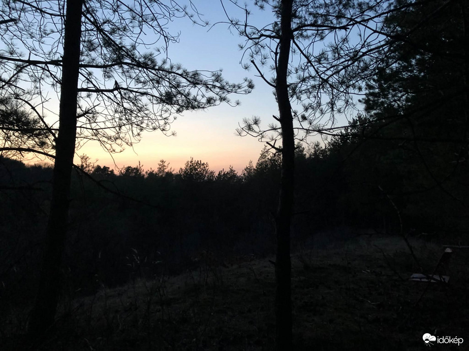 Alkony a fenyvesben