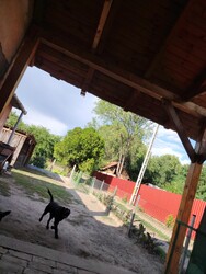 Nagykőrös