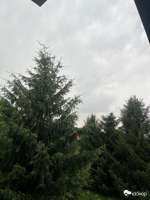 Szabadka