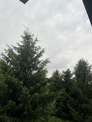 Szabadka