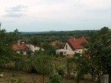 Táj