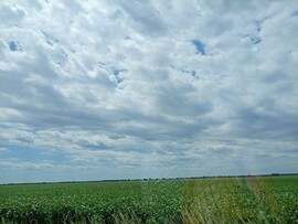 Nárai