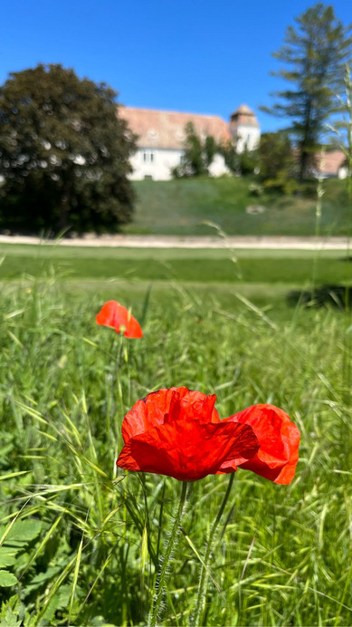 Mosonmagyaróvár