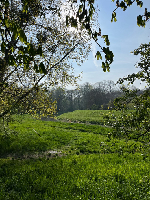Mosonmagyaróvár