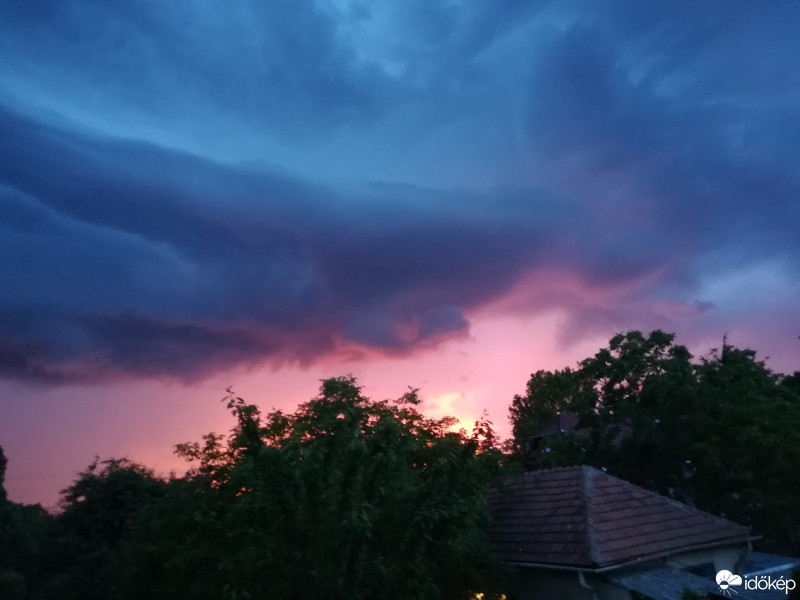 Gyula