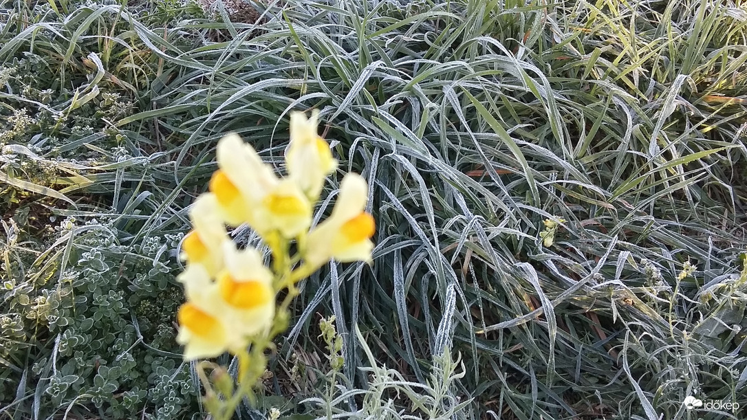 Cuha-ér környezetében -2°c