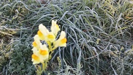 Cuha-ér környezetében -2°c