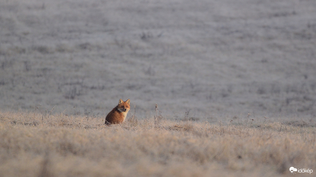 Az utolsó az idei ében.