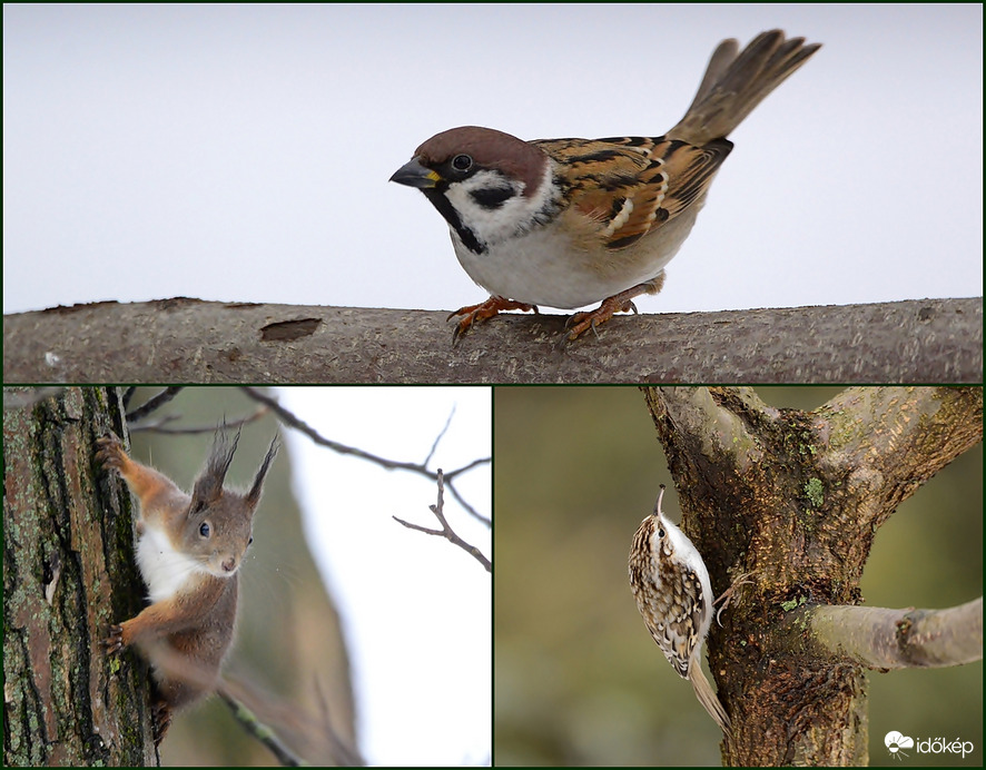 "Ahol szeretünk, ott az otthonunk 