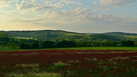 Reggeli fények.