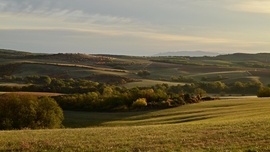 Őszi reggel. 