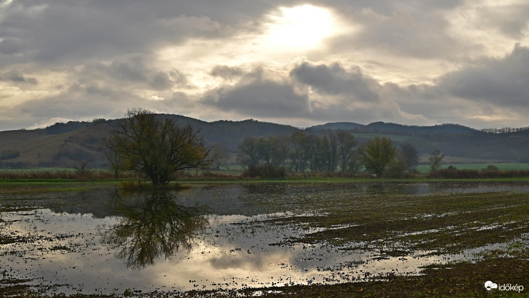 Amikor már kicsit sok.