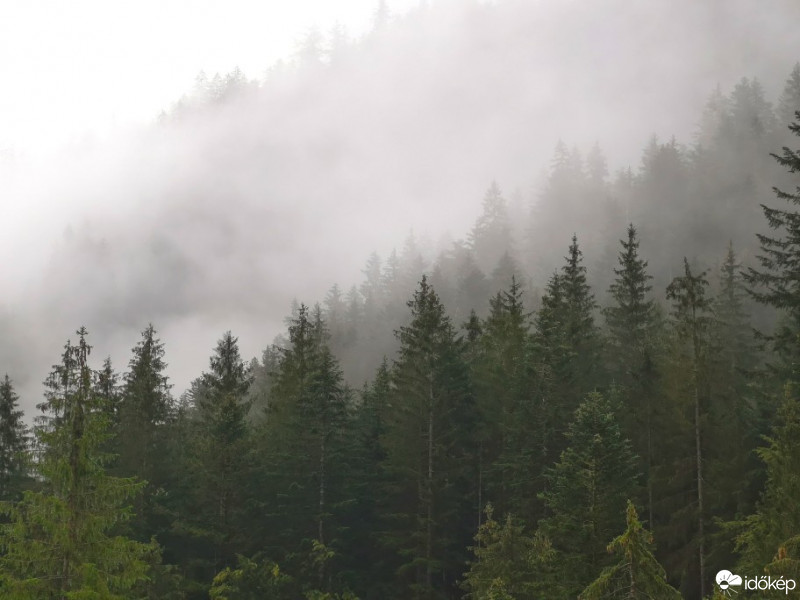 Gosau