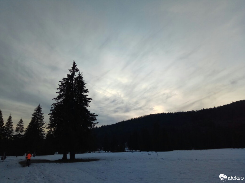 Poienița