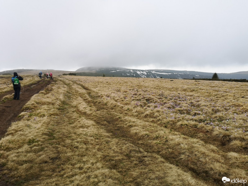 Stâna de Vale