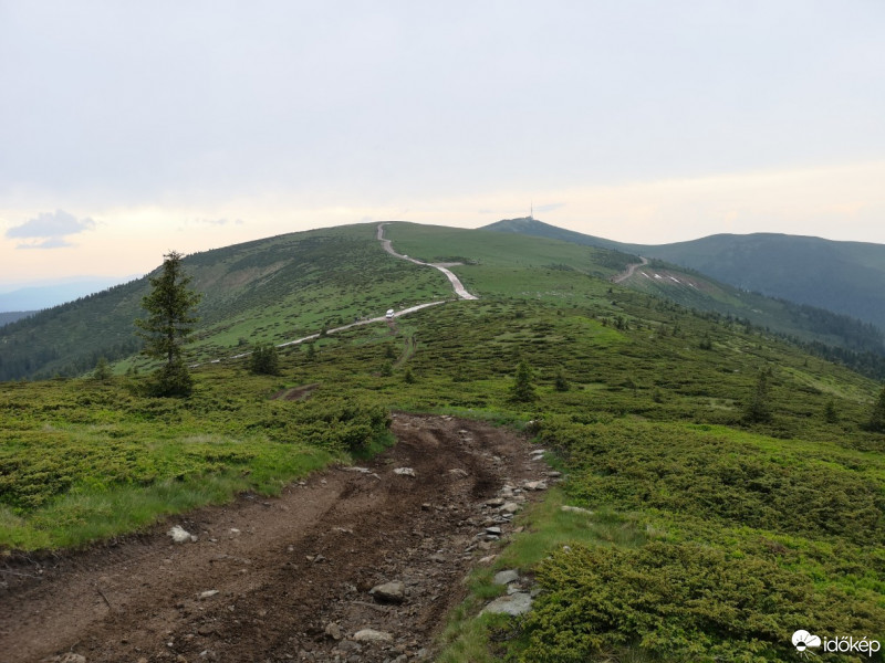 Pătrăhăițești